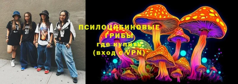 Псилоцибиновые грибы Magic Shrooms  Тольятти 